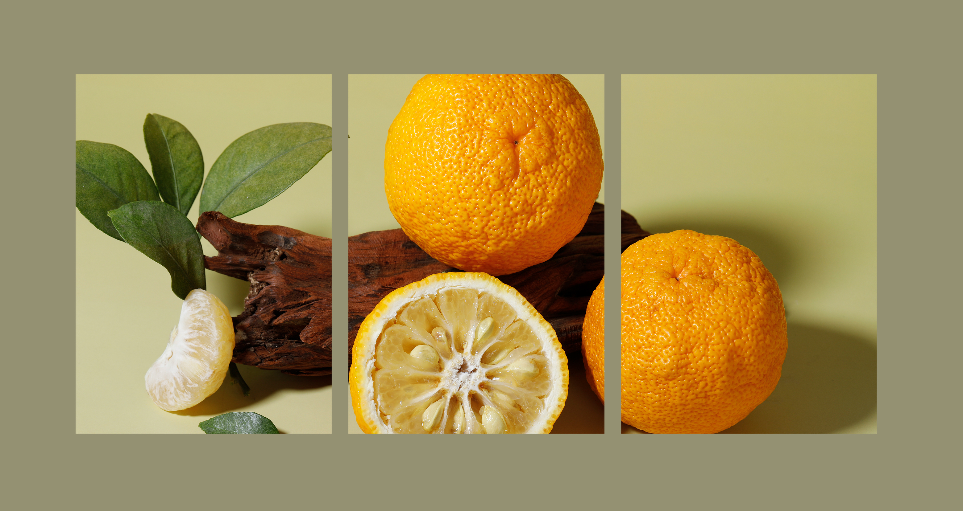 新品丨柚子，全新升級！